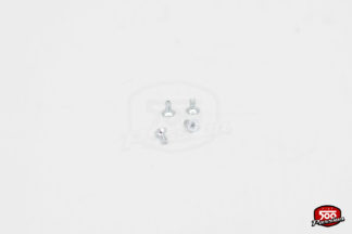 Vis de fixation de gouttières chromées (x4)